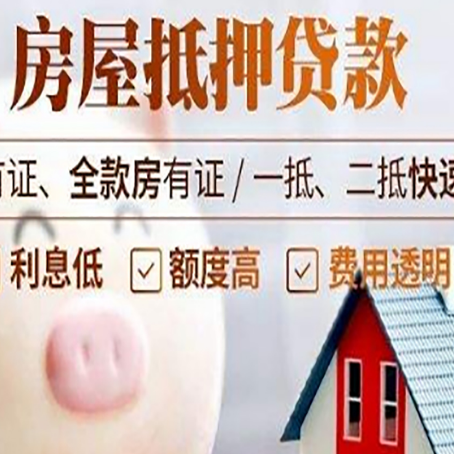 永仁贷款助贷公司新渝启服成立时间久
